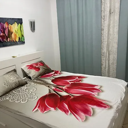 Apartament Viking Republic *